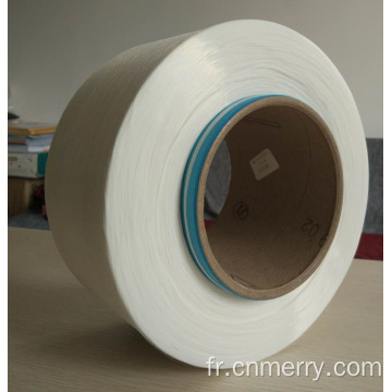 Fil Polyester Monofilament